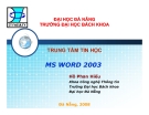 MS Word 2003