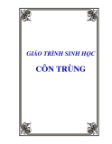 Giáo trình sinh học: Côn trùng