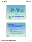 Bài giảng về hành vi tổ chức - Nguyễn Hữu Nam