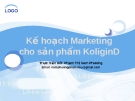 Kê hoạch Marketing cho sản phẩm KoliginD