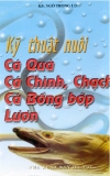 Cá quả, cá chình, chạch, cá bống bớp, lươn và kỹ thuật nuôi tăng năng suất