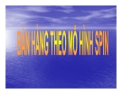 BÁN HÀNH THEO MÔ HÌNH SPIN
