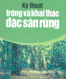 Đặc sản rừng với kỹ thuật trồng và khai thác