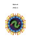  Những điều cần biết về Bệnh sởi (phần 1)
