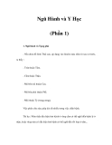 Ngũ Hành và Y Học 