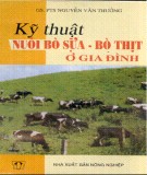 Bò sữa - bò thịt ở gia đình với kỹ thuật nuôi lợi nhuận cao