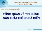 Tổng quan về tình hình sản xuất giống cá biển