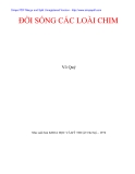 Đời sống các loài chim