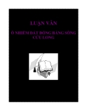 LUẬN VĂN: Ô NHIỄM ĐẤT ĐỒNG BẰNG SÔNG CỬU LONG