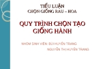 Quy trình chọn tạo giống hành