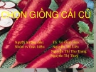 Chọn giống cải củ