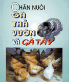 Chăn nuôi gà thả vườn và gà tây