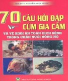 70 câu hỏi đáp về cúm gia cầm