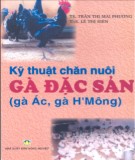 Hướng dẫn chăn nuôi gà đặc sản với kỹ thuật mới