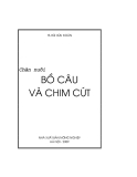 Chăn nuôi bồ câu và chim cút