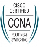 Giáo trình Hệ tính CCNA 4