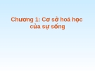 Chương 1: Cơ sở hóa học của sự sống