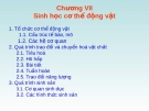 Chương 7: Sinh học cơ thể động vật
