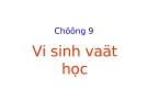 Chương 9: Sinh vật học