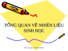Báo cáo: Tổng quan về nhiên liệu sinh học