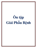 Ôn tập Giải Phẫu Bệnh