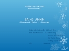 Bài 43 - Ạnkin