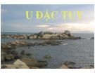 Bài giảng: U đặc tụy