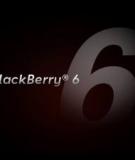 Cẩm nang sử dụng Blackberry OS 6 toàn tập