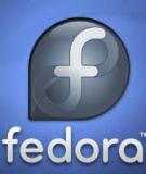 Hướng dẫn cài đặt hệ điều hành Fedora Core