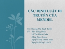 Các định luật di truyền của Mendel