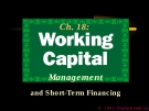 Financial Management - Chapter 18