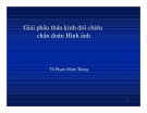 Giải phẫu thần kinh - Đối chiếu hình ảnh