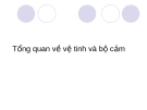 Tổng quan về vệ tinh và bộ cảm