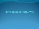 Tổng quan về VĐK AVR