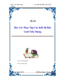 Đề tài " Báo Cáo Thực Tập Các thiết Bị Đầu Cuối Viễn Thông "