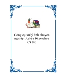 Công cụ xử lý ảnh chuyên nghiệp: Adobe Photoshop CS 8.0