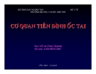 CƠ QUAN TIỀN ĐÌNH ỐC TAI