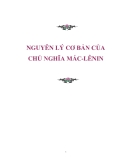 Nguyên lý cơ bản của Chủ nghĩa Mác- Lênin