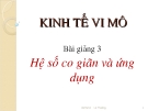 Kinh tế vi mô - Hệ số co giãn và ứng dụng