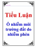 Luận văn: Ô nhiễm môi trường đất do nhiễm phèn