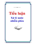  Đề tài : Xử lý nước nhiễm phèn