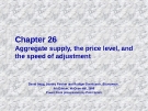 Chapter: Aggregate supply, the price level, and the speed of adjustment