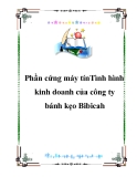 Tình hình kinh doanh của công ty bánh kẹo Bibica