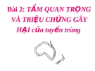 Tầm quan trọng và triệu chứng gây hại của tuyến trùng