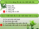 câu hỏi mội trường cơ bản