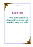 Luận văn: Phân tích tình hình tài chính tại Công ty sản xuất bao bì cà hàng xuất khẩu