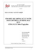 ĐỀ TÀI: " TÌM HIỂU HỆ THỐNG XỬ LÝ NƯỚC THẢI CHẾ BIẾN CẤP ĐÔNG RAU QUẢ CÔNG SUẤT 300 m3/ngàyđêm"