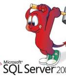 Những điểm mới trong SQL 2008