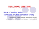 TEACHING WRITING