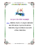 Đề tài: PHÒNG  NGỪA VÀ HẠN CHẾ RỦI  RO TÍN DỤNG TẠI NGÂN HÀNG THƯƠNG MẠI CỔ PHẦN SÀI GÒN CÔNG THƯƠNG